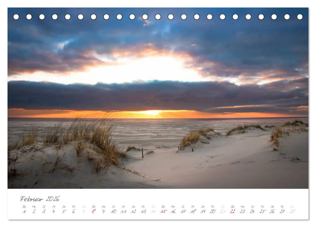 Bild: 9783516051704 | Amrum - Eine farbenfrohe Insellandschaft (Tischkalender 2026 DIN A5...