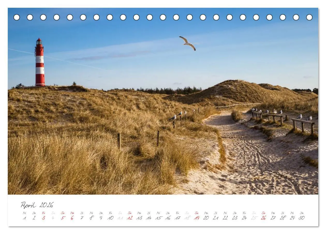Bild: 9783516051704 | Amrum - Eine farbenfrohe Insellandschaft (Tischkalender 2026 DIN A5...