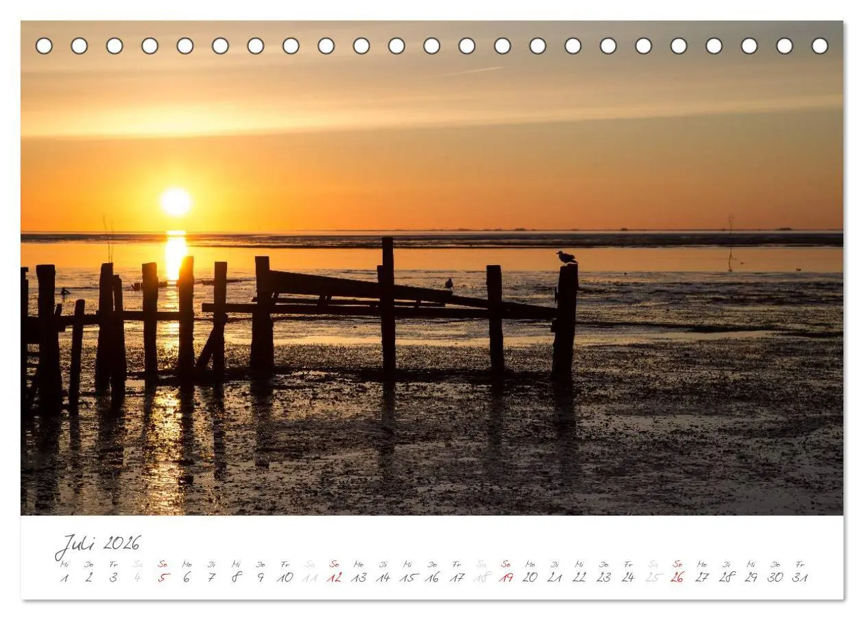 Bild: 9783516051704 | Amrum - Eine farbenfrohe Insellandschaft (Tischkalender 2026 DIN A5...