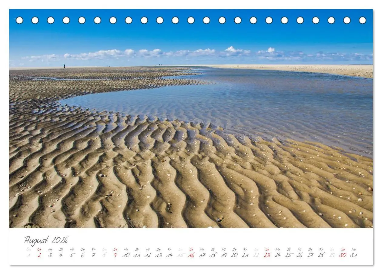 Bild: 9783516051704 | Amrum - Eine farbenfrohe Insellandschaft (Tischkalender 2026 DIN A5...