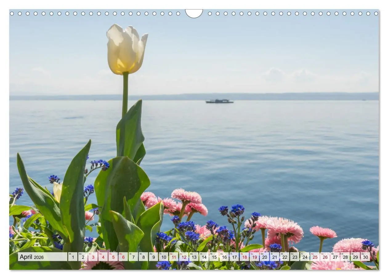 Bild: 9783457641804 | Traumhafter Bodensee (Wandkalender 2026 DIN A3 quer), CALVENDO...