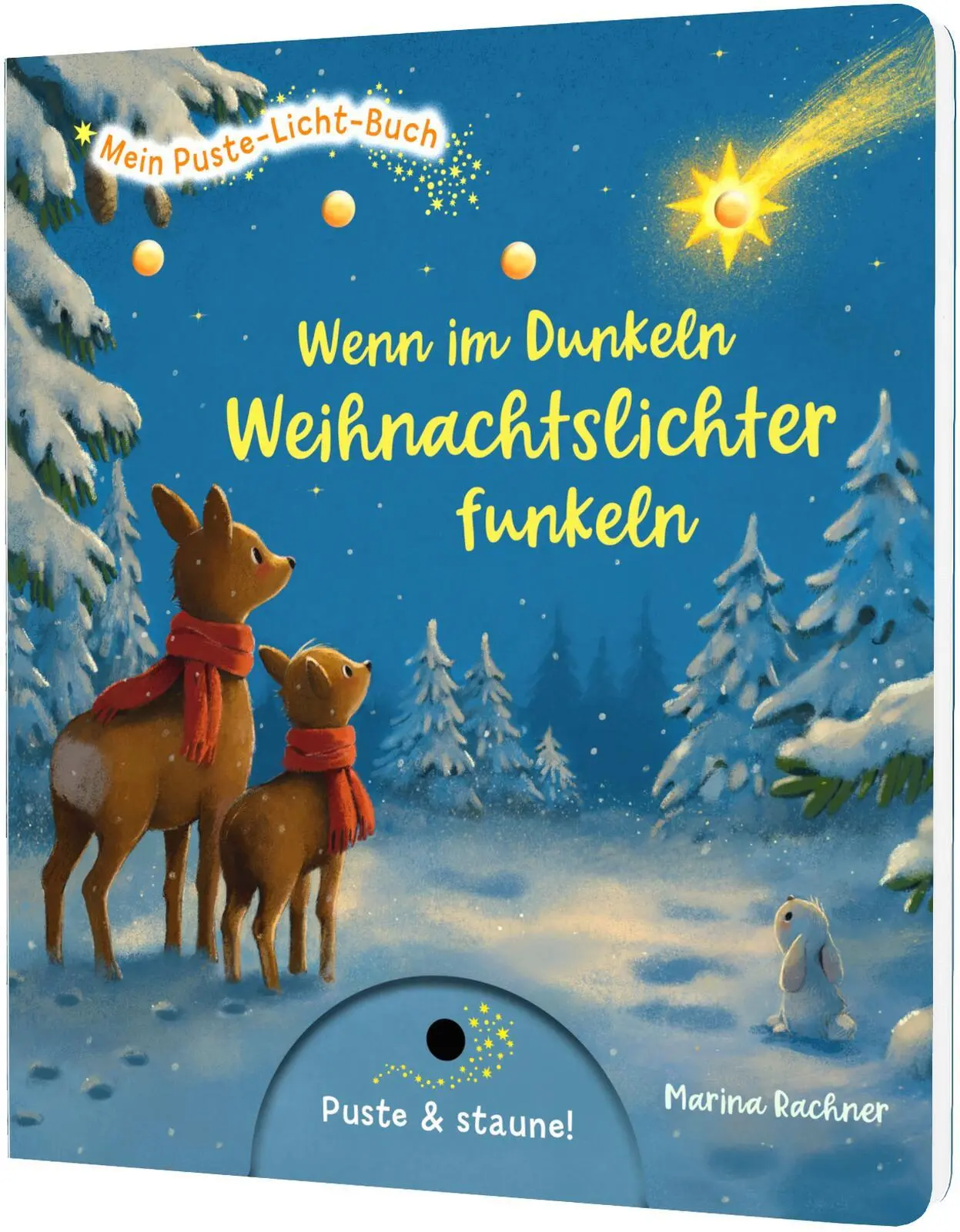 Cover: 9783480241804 | Mein Puste-Licht-Buch: Wenn im Dunkeln Weihnachtslichter funkeln