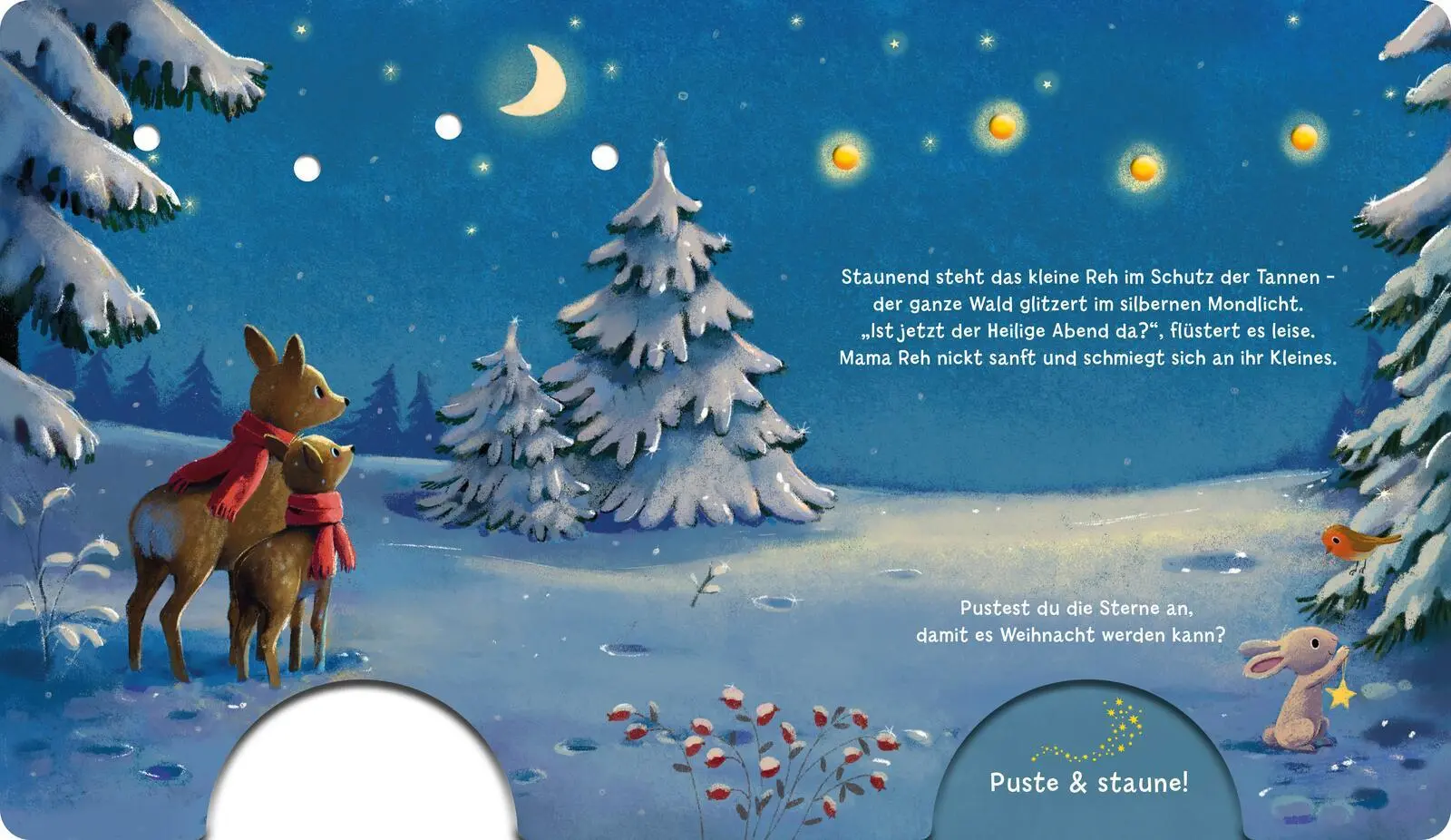 Bild: 9783480241804 | Mein Puste-Licht-Buch: Wenn im Dunkeln Weihnachtslichter funkeln