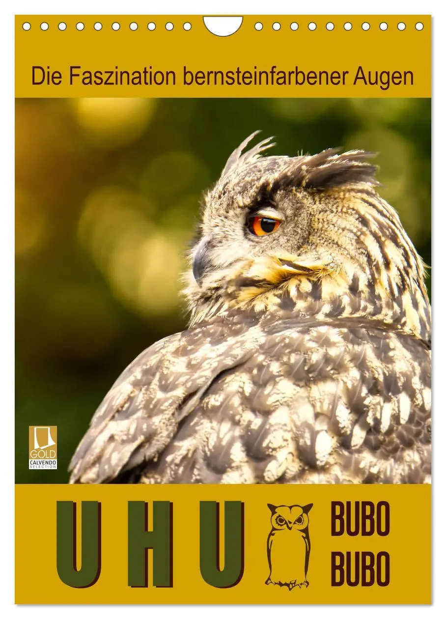 Cover: 9783516351804 | Uhu, die Faszination bernsteinfarbener Augen (Wandkalender 2026 DIN...