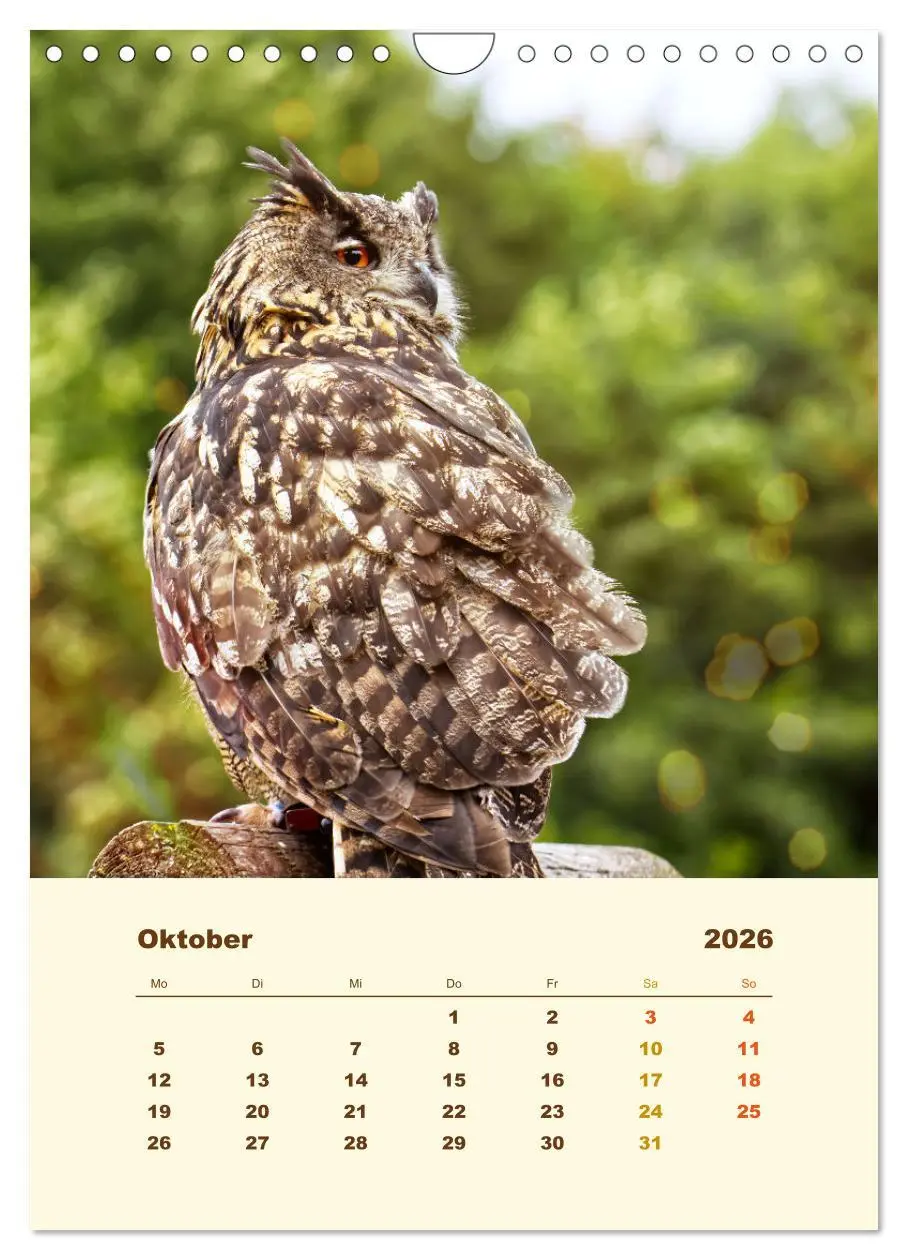 Bild: 9783516351804 | Uhu, die Faszination bernsteinfarbener Augen (Wandkalender 2026 DIN...