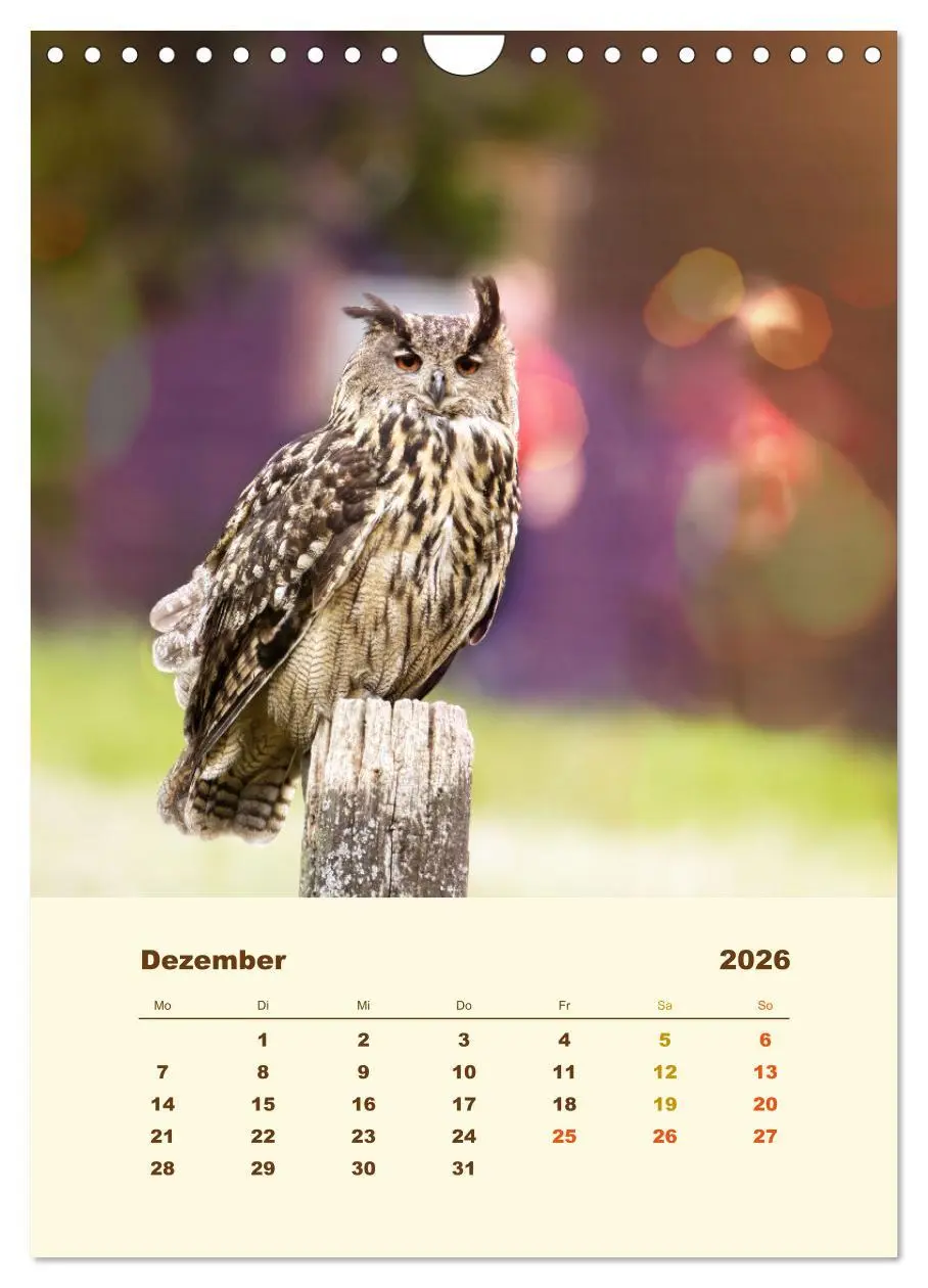 Bild: 9783516351804 | Uhu, die Faszination bernsteinfarbener Augen (Wandkalender 2026 DIN...