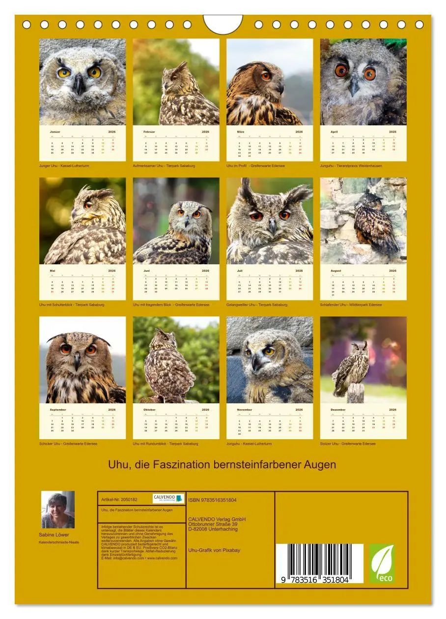 Bild: 9783516351804 | Uhu, die Faszination bernsteinfarbener Augen (Wandkalender 2026 DIN...