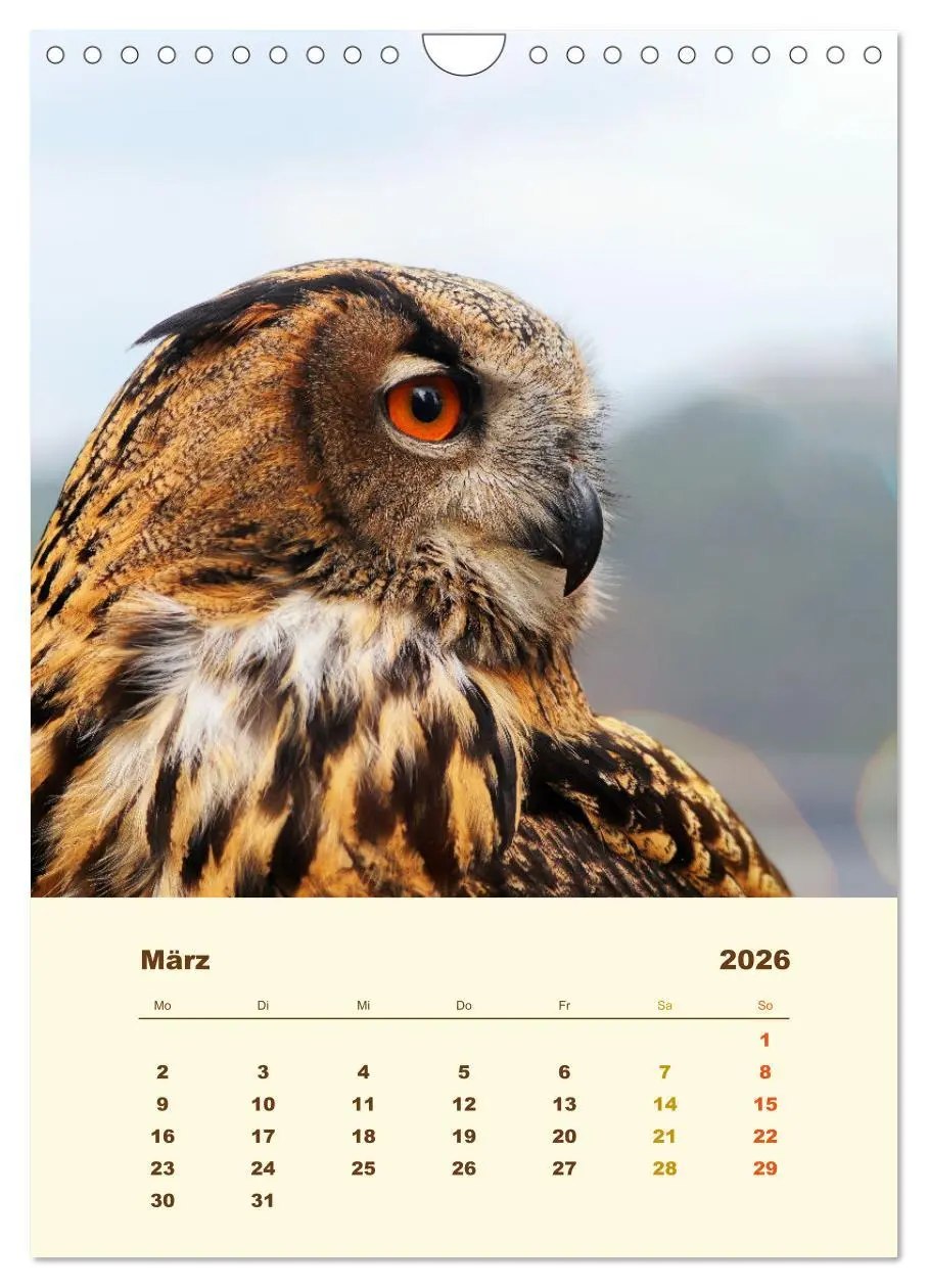 Bild: 9783516351804 | Uhu, die Faszination bernsteinfarbener Augen (Wandkalender 2026 DIN...