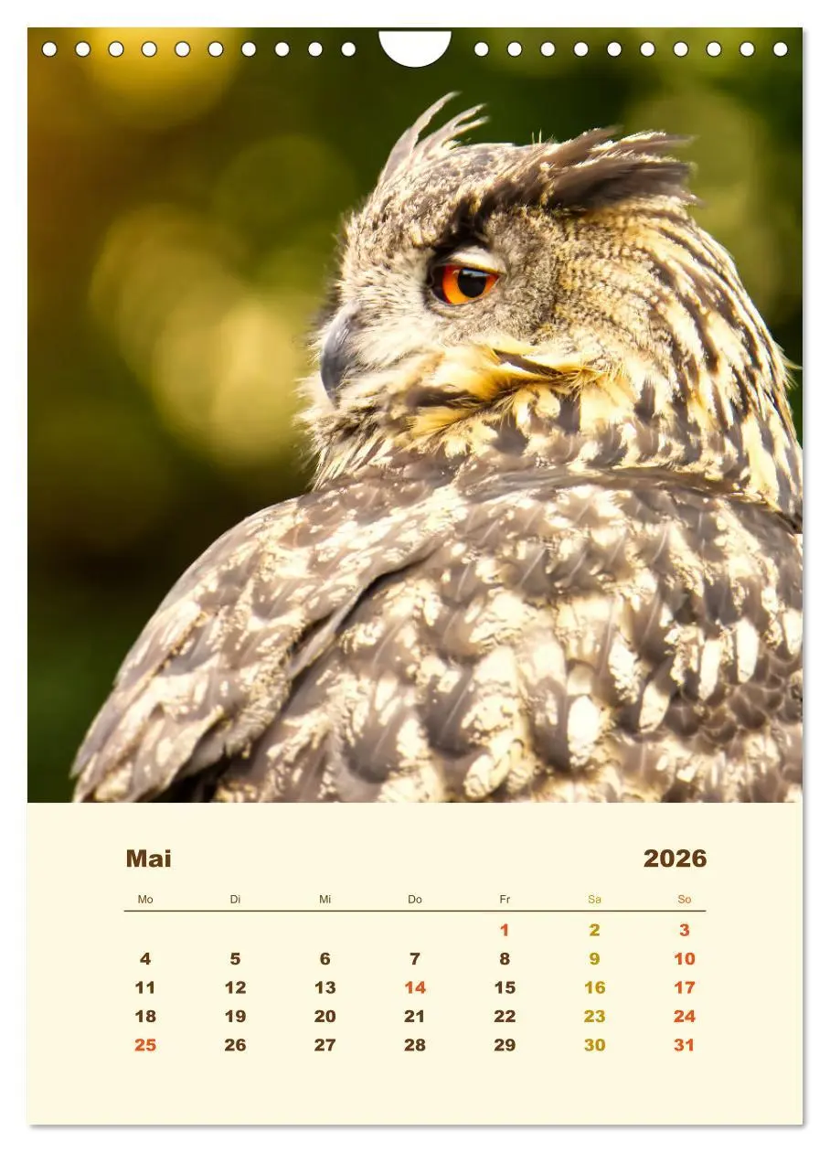 Bild: 9783516351804 | Uhu, die Faszination bernsteinfarbener Augen (Wandkalender 2026 DIN...
