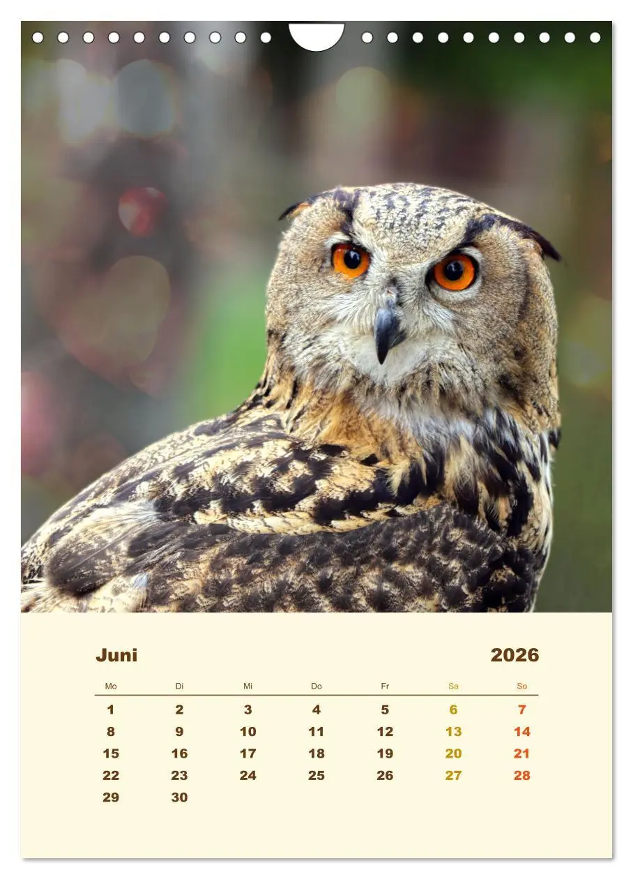 Bild: 9783516351804 | Uhu, die Faszination bernsteinfarbener Augen (Wandkalender 2026 DIN...