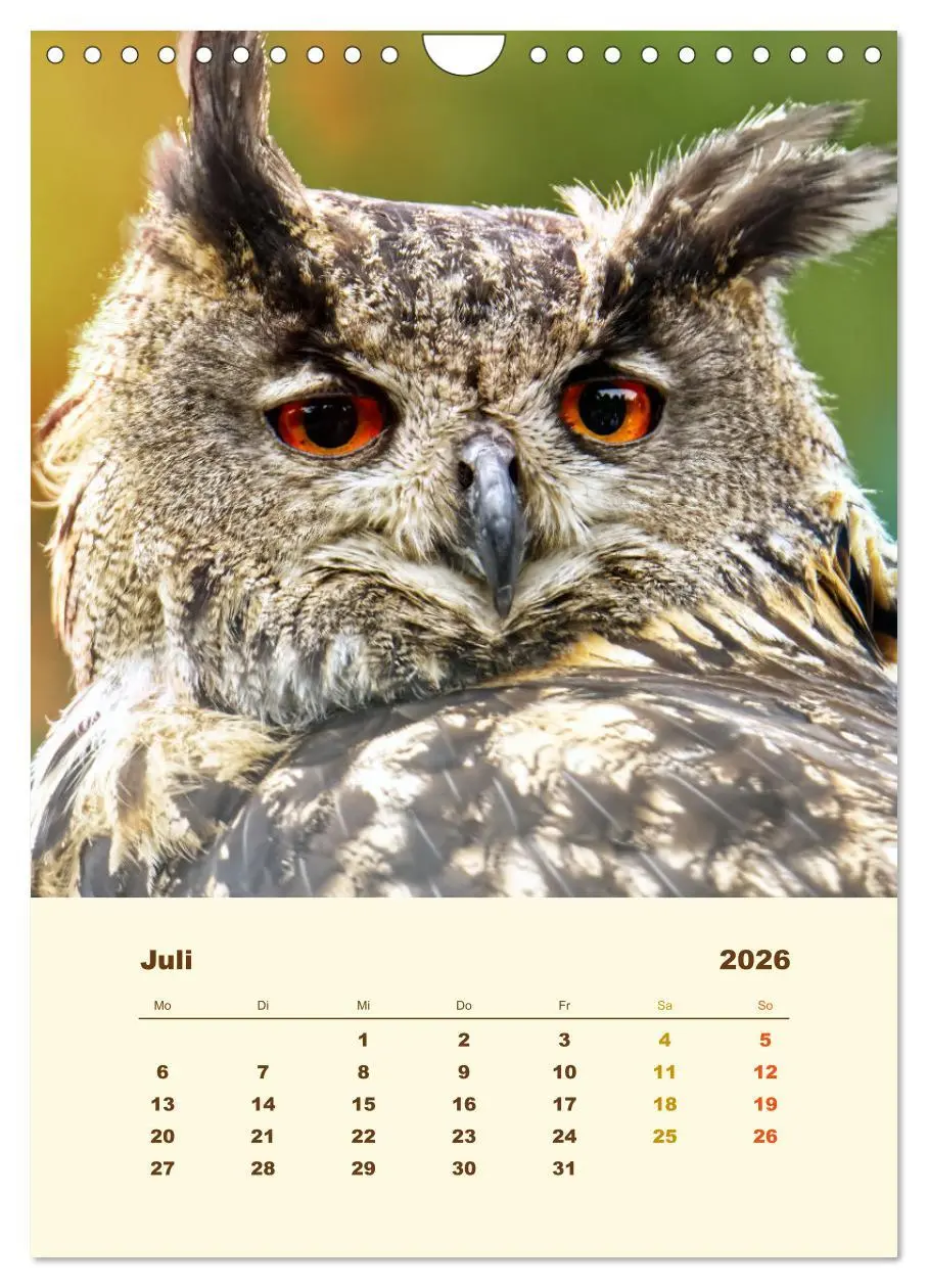 Bild: 9783516351804 | Uhu, die Faszination bernsteinfarbener Augen (Wandkalender 2026 DIN...
