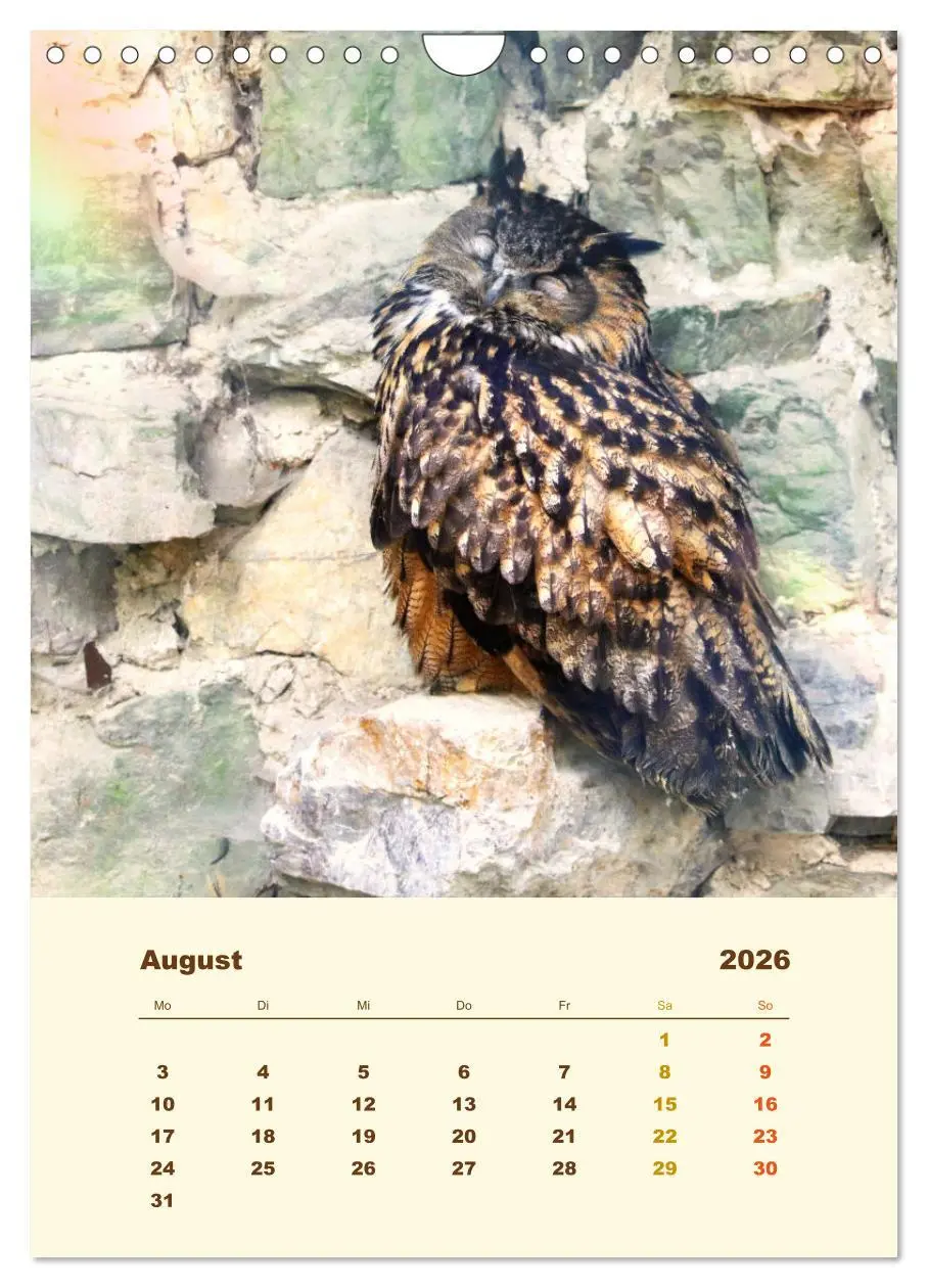 Bild: 9783516351804 | Uhu, die Faszination bernsteinfarbener Augen (Wandkalender 2026 DIN...
