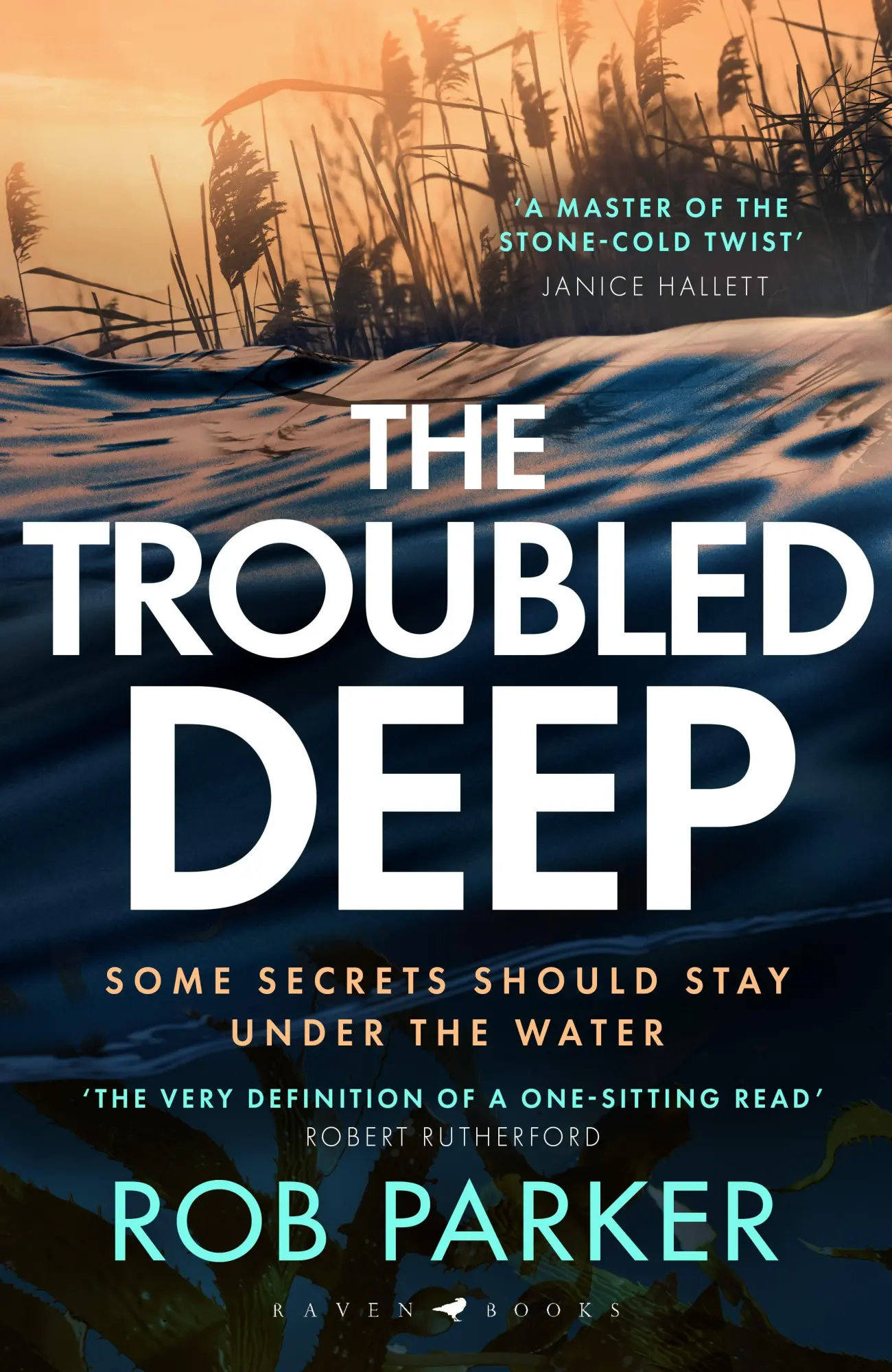 Cover: 9781526681904 | The Troubled Deep | Rob Parker | Buch | Englisch | 2025