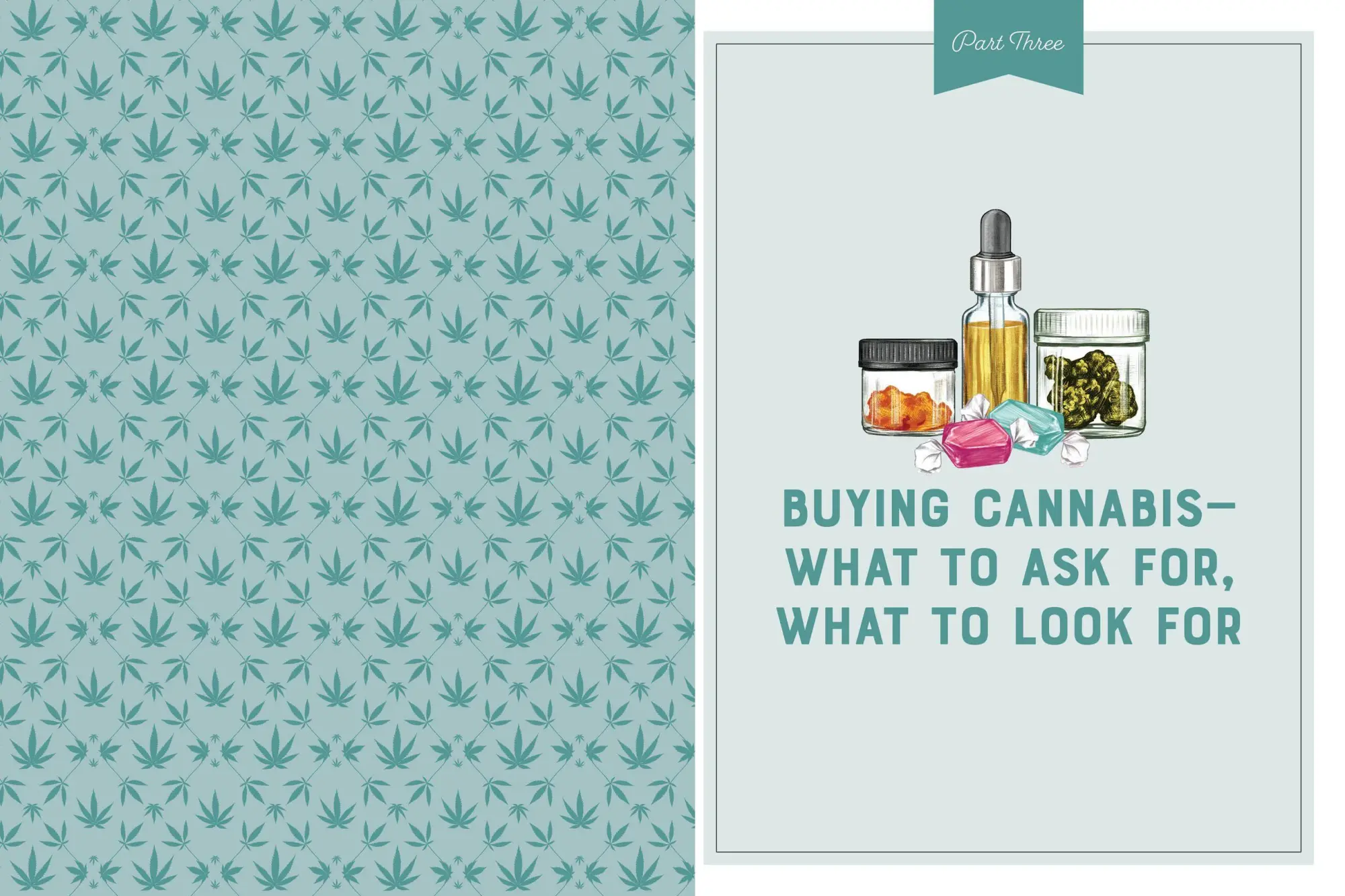 Bild: 9781523502004 | A Woman's Guide to Cannabis | Nikki Furrer | Taschenbuch | Englisch