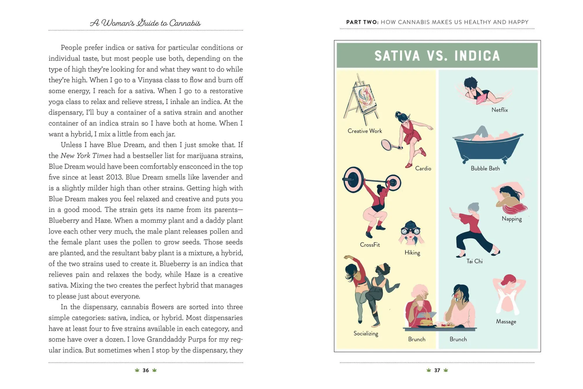 Bild: 9781523502004 | A Woman's Guide to Cannabis | Nikki Furrer | Taschenbuch | Englisch