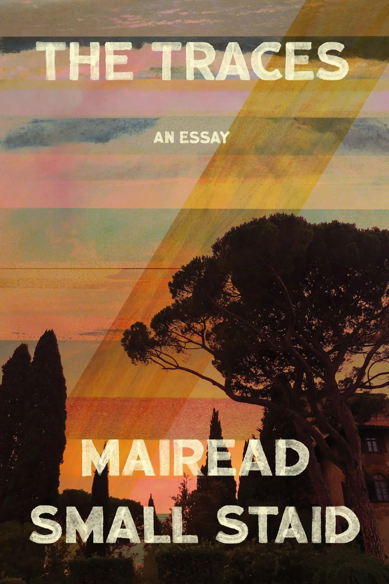 Cover: 9781646052004 | The Traces | An Essay | Mairead Small Staid | Taschenbuch | Englisch
