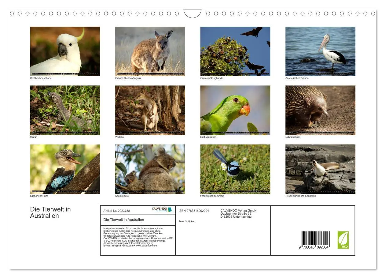 Bild: 9783516092004 | Die Tierwelt in Australien (Wandkalender 2026 DIN A3 quer),...