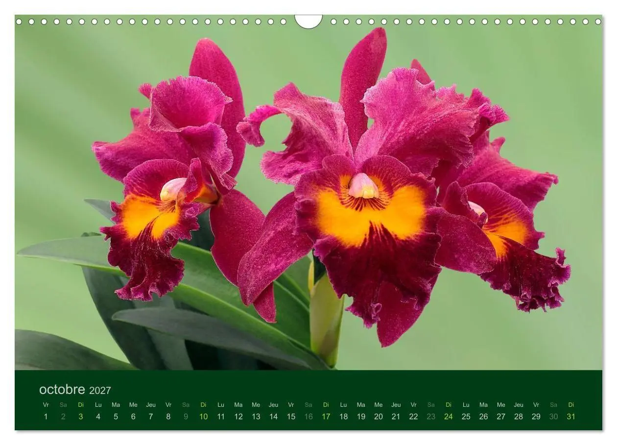 Bild: 9783594072004 | Les Orchidées (Calendrier mural 2027 DIN A3 vertical), CALVENDO...