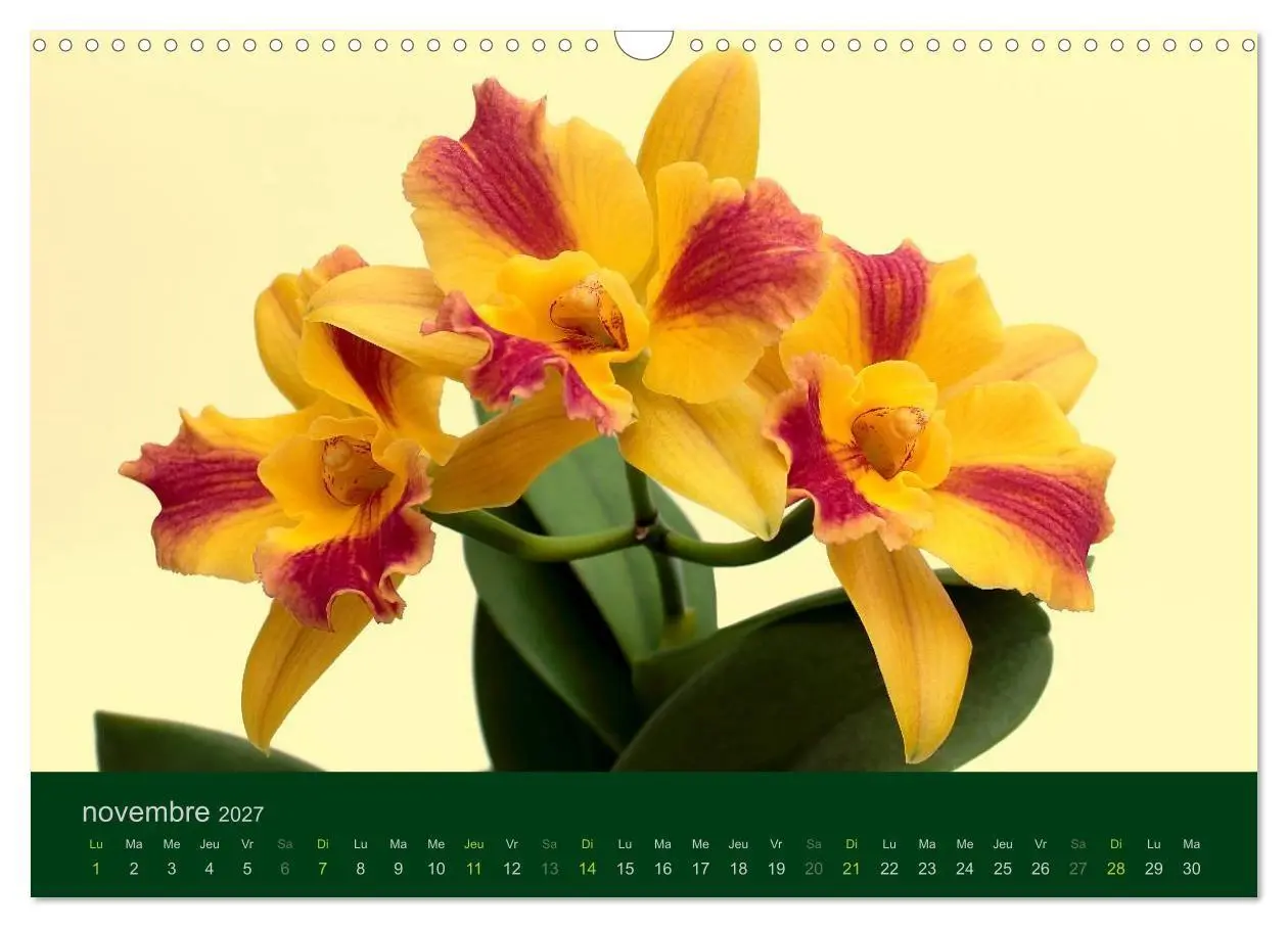 Bild: 9783594072004 | Les Orchidées (Calendrier mural 2027 DIN A3 vertical), CALVENDO...