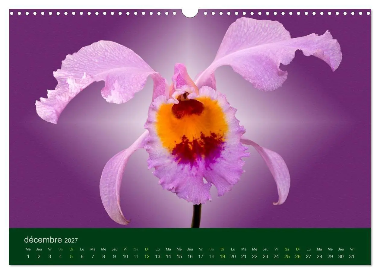 Bild: 9783594072004 | Les Orchidées (Calendrier mural 2027 DIN A3 vertical), CALVENDO...