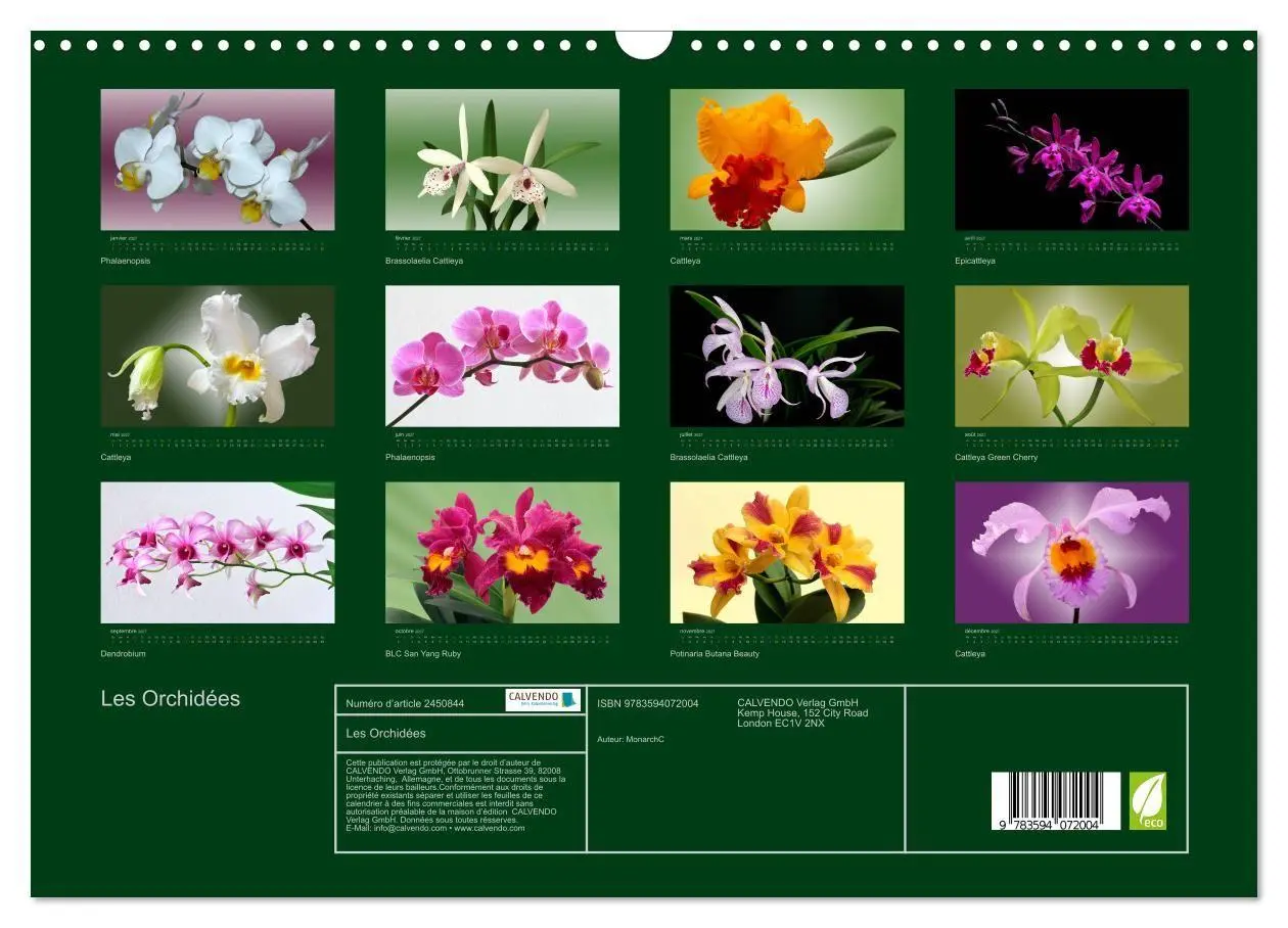 Bild: 9783594072004 | Les Orchidées (Calendrier mural 2027 DIN A3 vertical), CALVENDO...