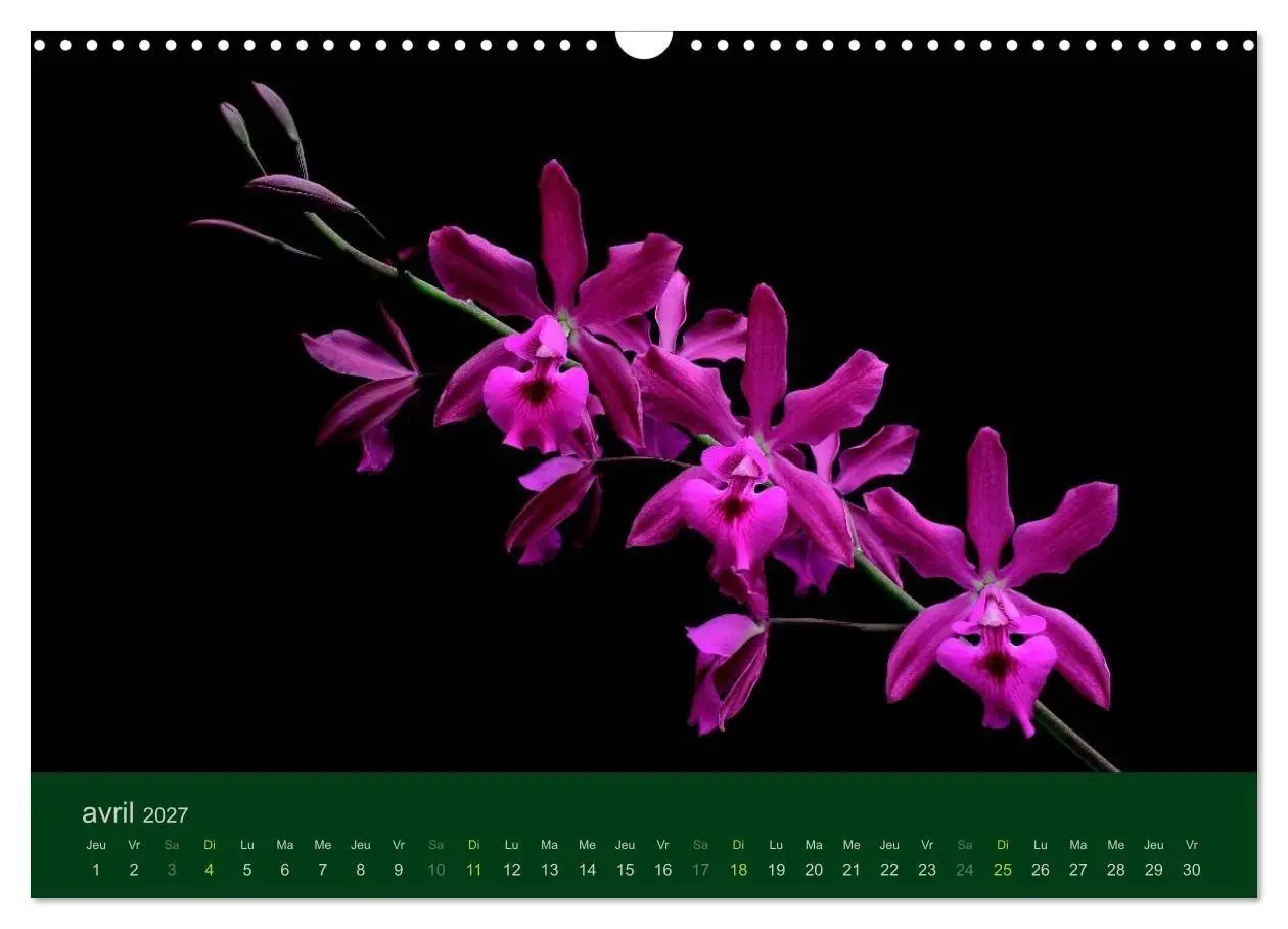 Bild: 9783594072004 | Les Orchidées (Calendrier mural 2027 DIN A3 vertical), CALVENDO...
