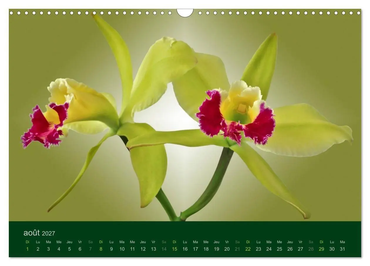 Bild: 9783594072004 | Les Orchidées (Calendrier mural 2027 DIN A3 vertical), CALVENDO...