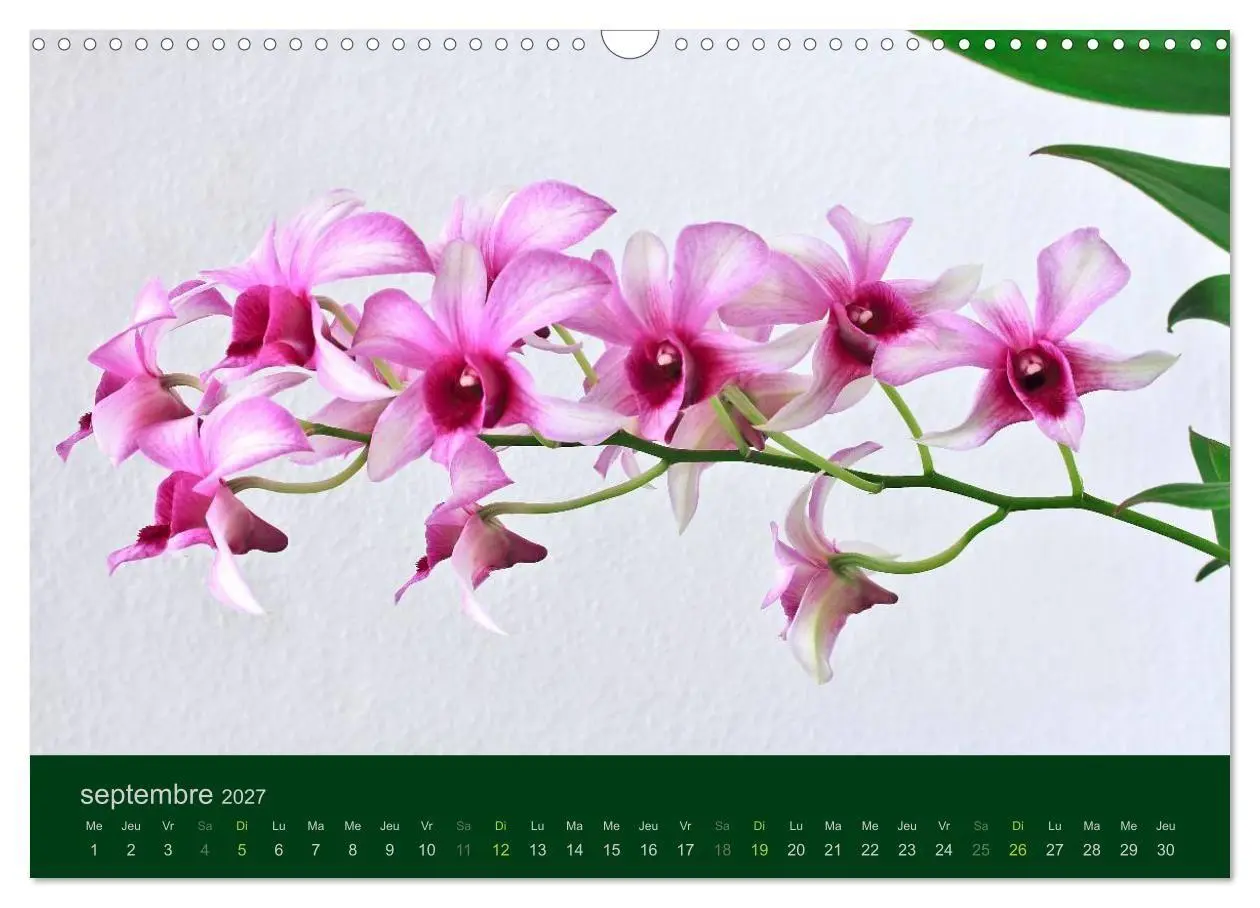 Bild: 9783594072004 | Les Orchidées (Calendrier mural 2027 DIN A3 vertical), CALVENDO...
