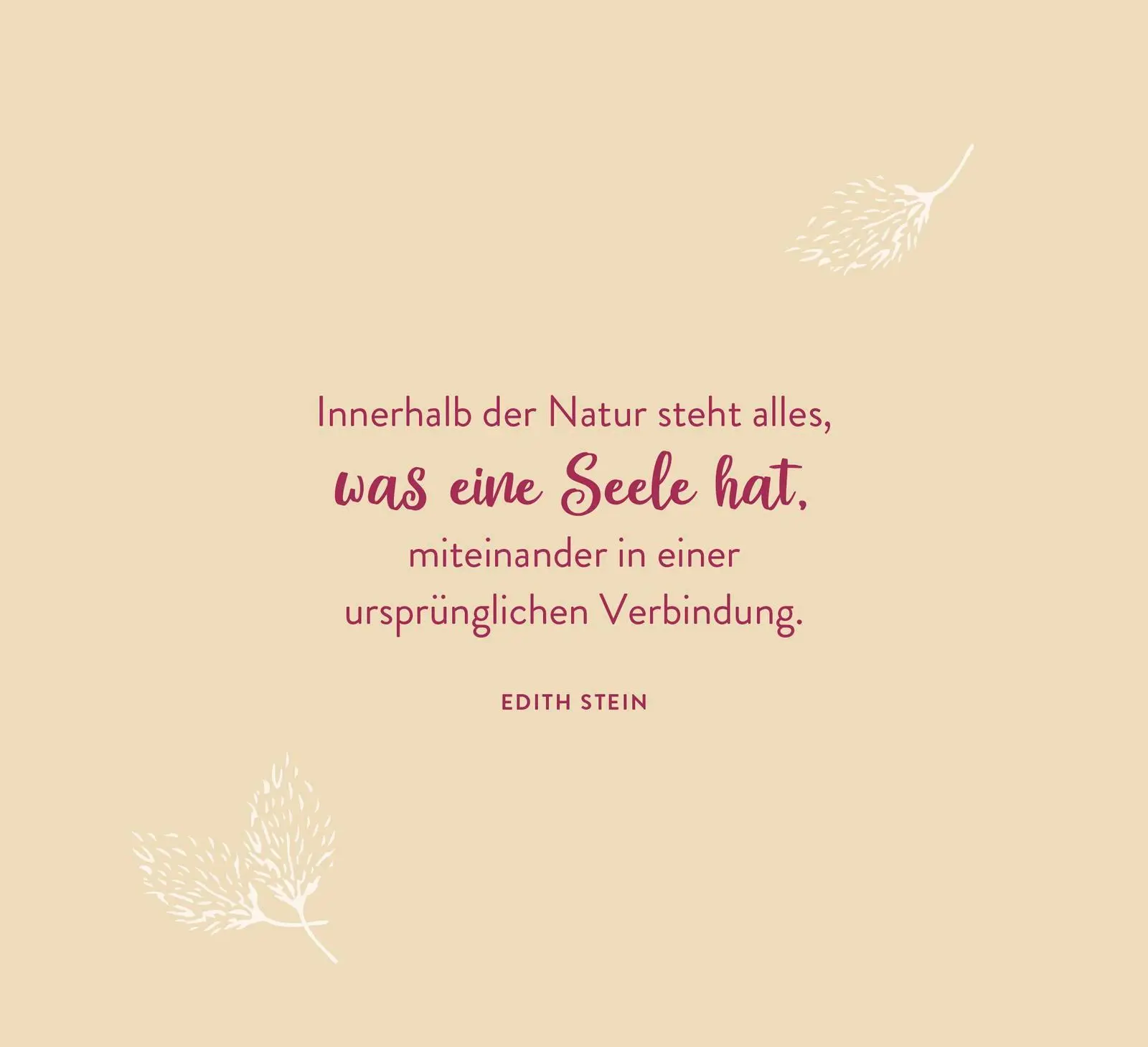Bild: 9783848502004 | Indian Summer | Groh Verlag | Taschenbuch | Spiralbindung | 144 S.