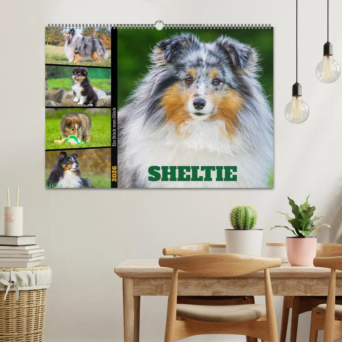 Bild: 9783457372104 | Sheltie - Ein Stück vom Glück (Wandkalender 2026 DIN A2 quer),...