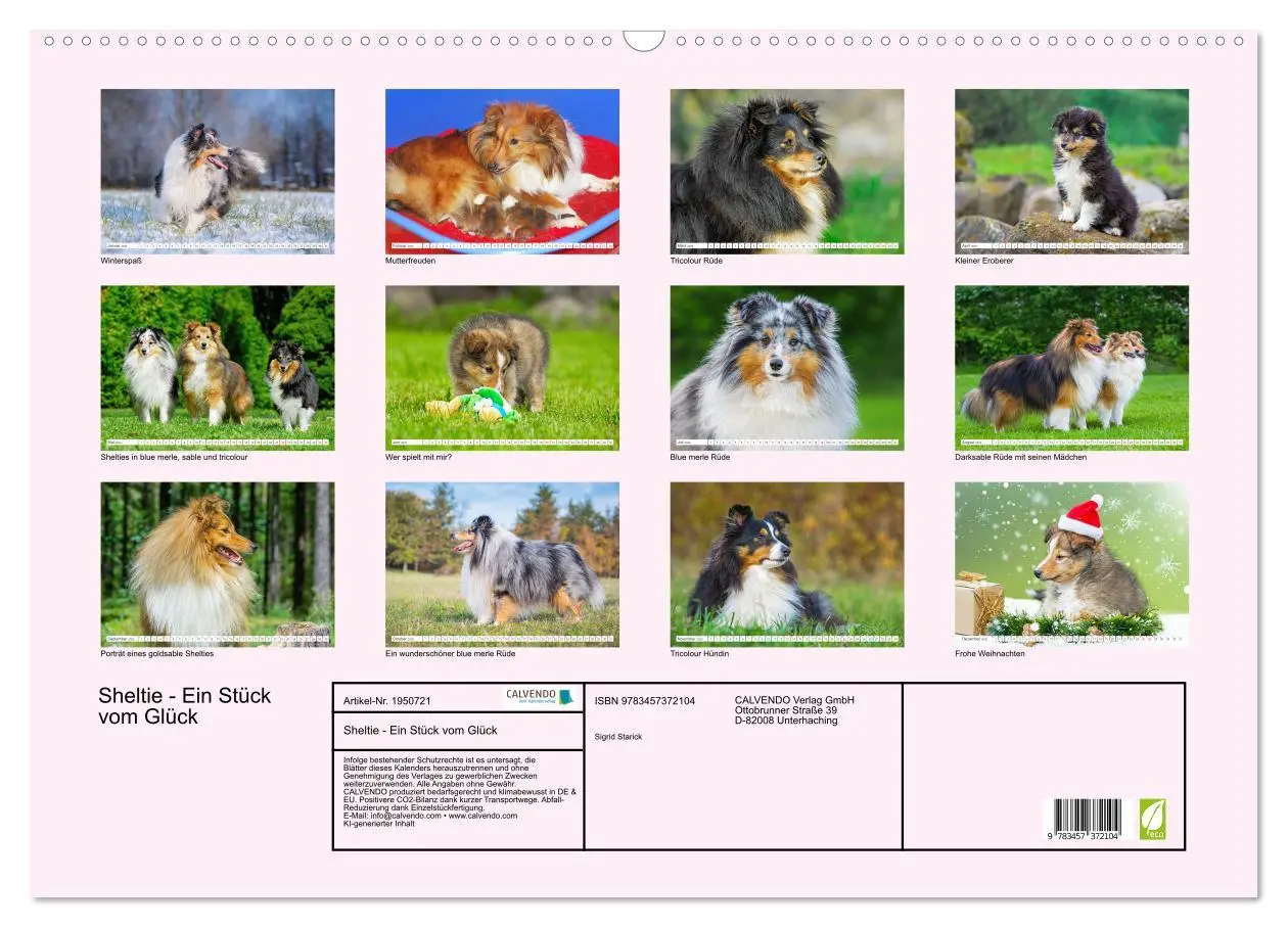 Bild: 9783457372104 | Sheltie - Ein Stück vom Glück (Wandkalender 2026 DIN A2 quer),...