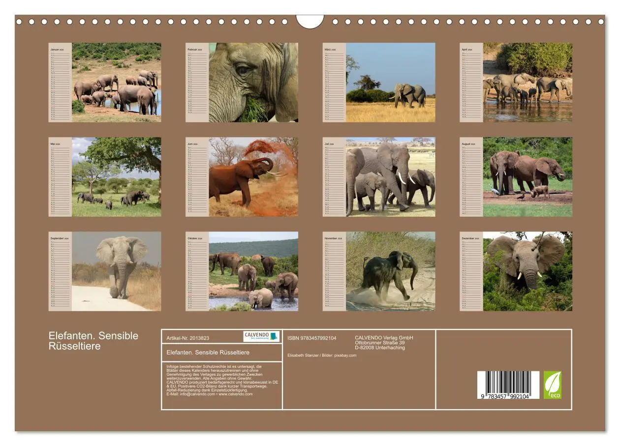 Bild: 9783457992104 | Elefanten. Sensible Rüsseltiere (Wandkalender 2026 DIN A3 quer),...