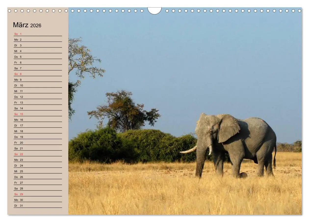 Bild: 9783457992104 | Elefanten. Sensible Rüsseltiere (Wandkalender 2026 DIN A3 quer),...