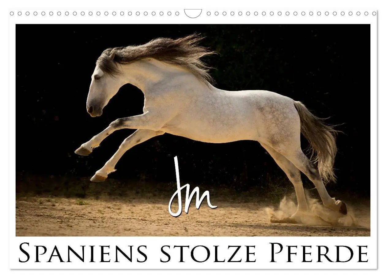 Cover: 9783516082104 | Spaniens stolze Pferde (Wandkalender 2026 DIN A3 quer), CALVENDO...