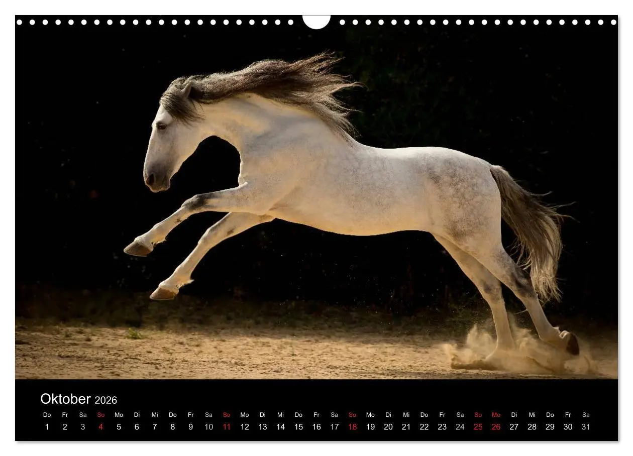 Bild: 9783516082104 | Spaniens stolze Pferde (Wandkalender 2026 DIN A3 quer), CALVENDO...