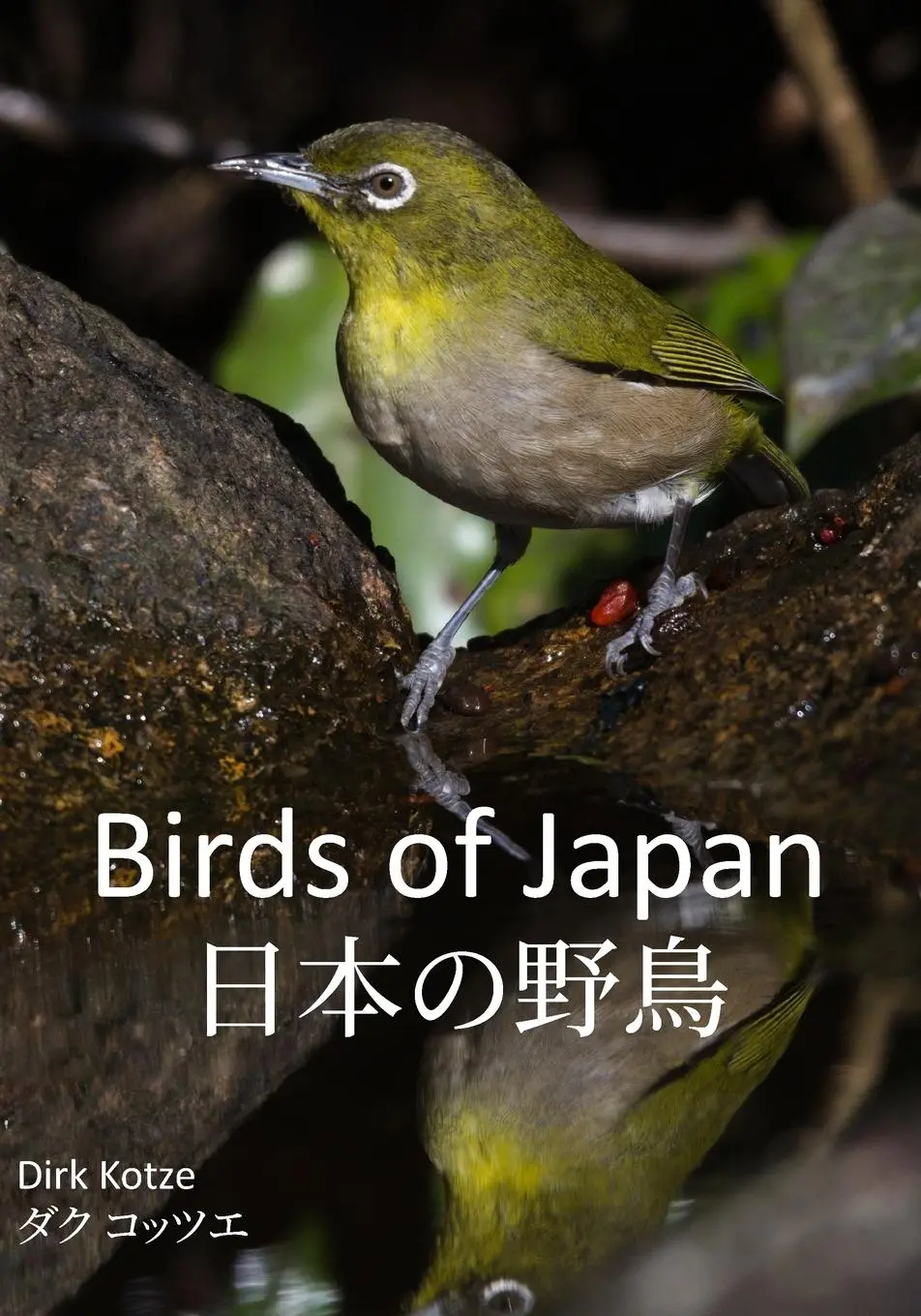 Cover: 9788797512104 | Birds of Japan | Dirk Kotze | Taschenbuch | Englisch | 2025