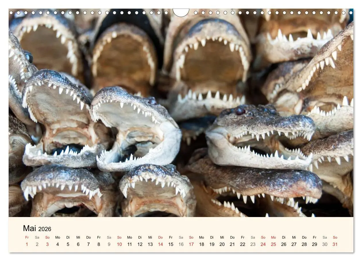 Bild: 9783516142204 | Sommer in New Orleans (Wandkalender 2026 DIN A3 quer), CALVENDO...