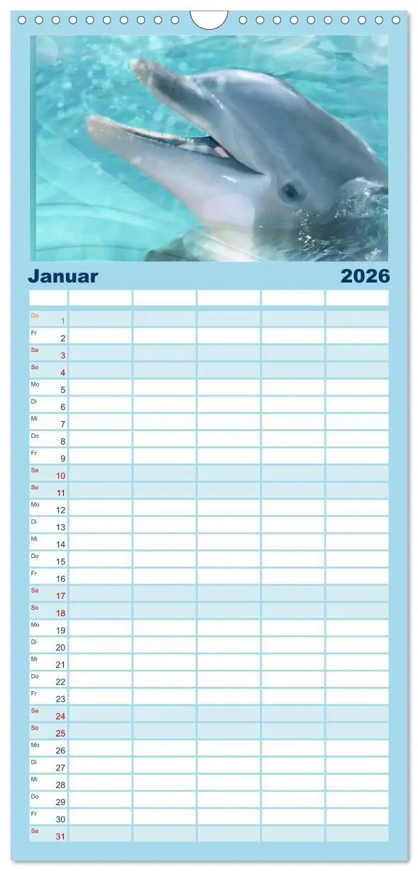 Bild: 9783516522204 | Familienplaner 2026 - Delfine - Kalender mit 5 Spalten...