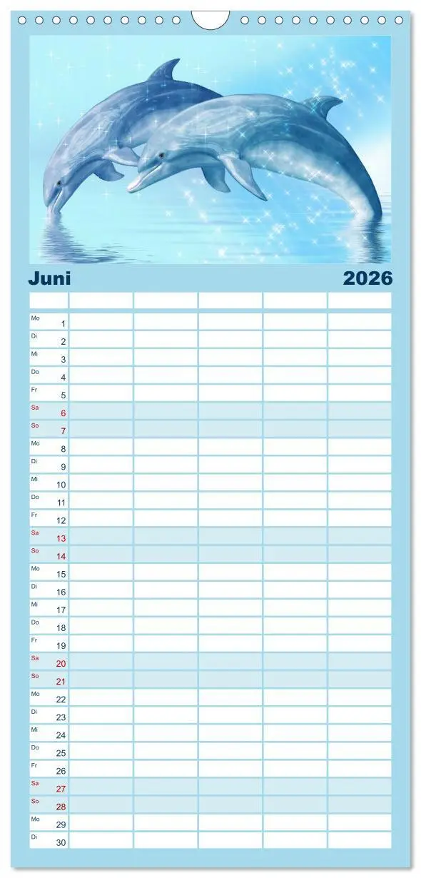 Bild: 9783516522204 | Familienplaner 2026 - Delfine - Kalender mit 5 Spalten...