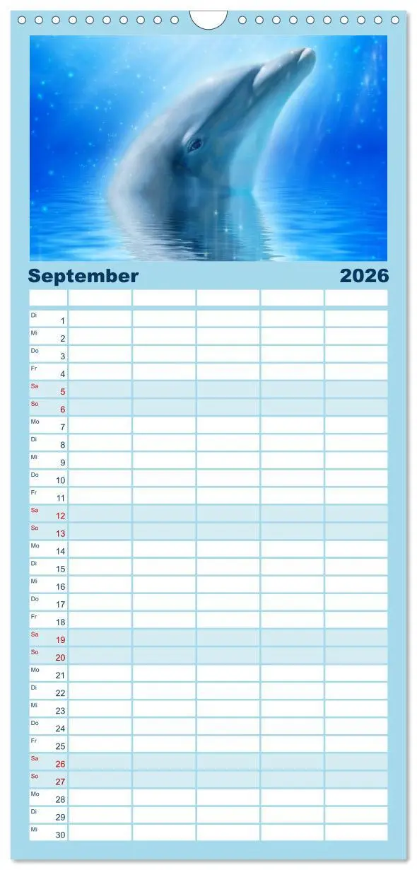 Bild: 9783516522204 | Familienplaner 2026 - Delfine - Kalender mit 5 Spalten...