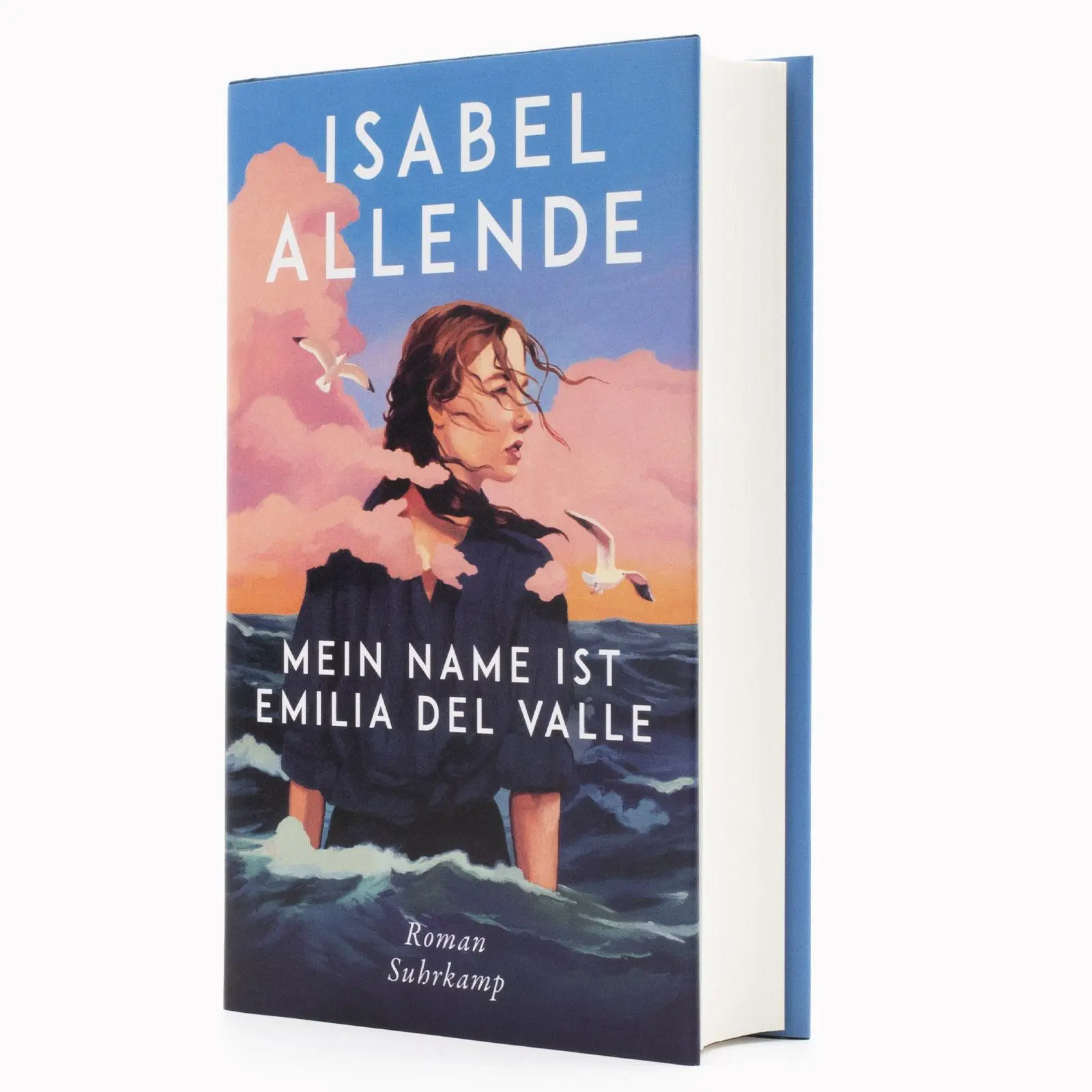 Bild: 9783518432204 | Mein Name ist Emilia del Valle | Isabel Allende | Buch | 359 S. | 2025