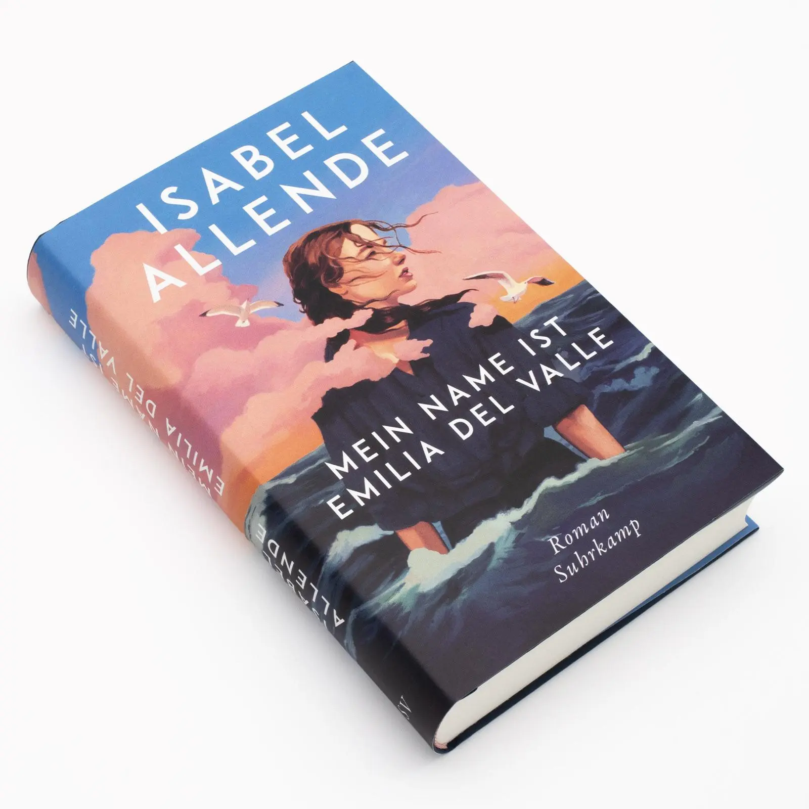 Bild: 9783518432204 | Mein Name ist Emilia del Valle | Isabel Allende | Buch | 359 S. | 2025
