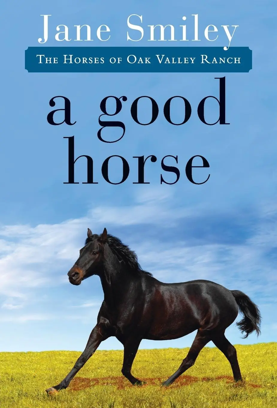 Cover: 9780375862304 | A Good Horse | Jane Smiley | Taschenbuch | Einband - flex.(Paperback)