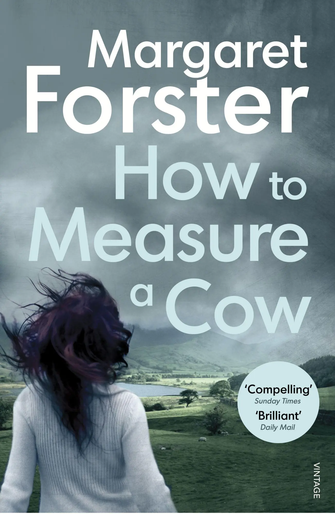 Cover: 9781784702304 | How to Measure a Cow | Margaret Forster | Taschenbuch | 295 S. | 2017
