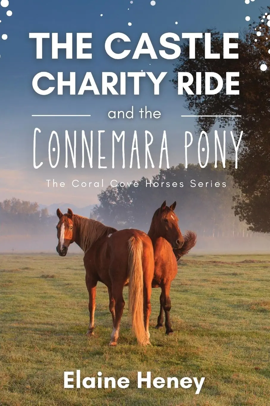Cover: 9781915542304 | The Castle Charity Ride and the Connemara Pony - The Coral Cove...