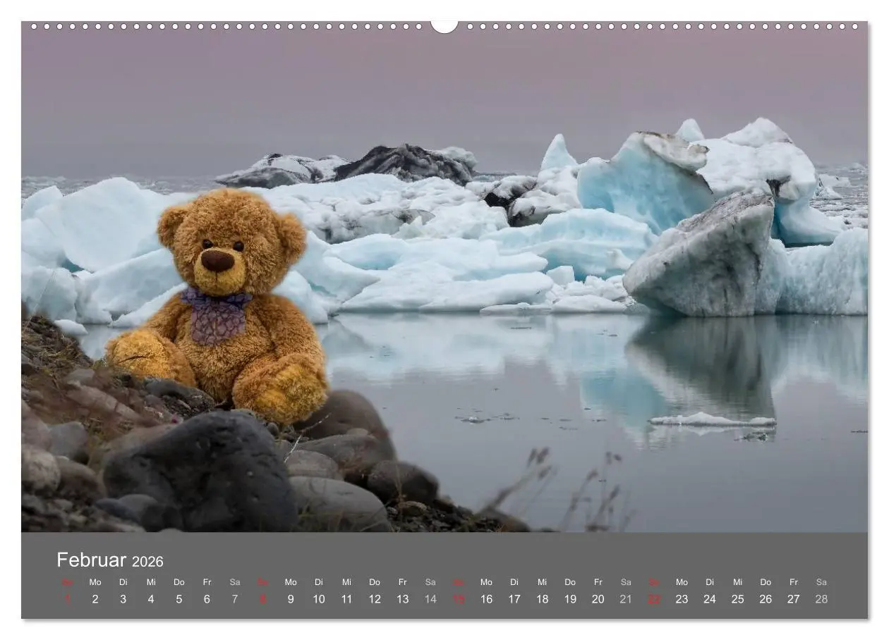 Bild: 9783457972304 | Travelling Teddy 2026 (hochwertiger Premium Wandkalender 2026 DIN...