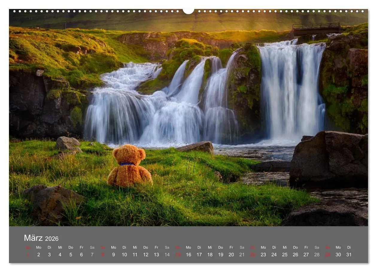 Bild: 9783457972304 | Travelling Teddy 2026 (hochwertiger Premium Wandkalender 2026 DIN...