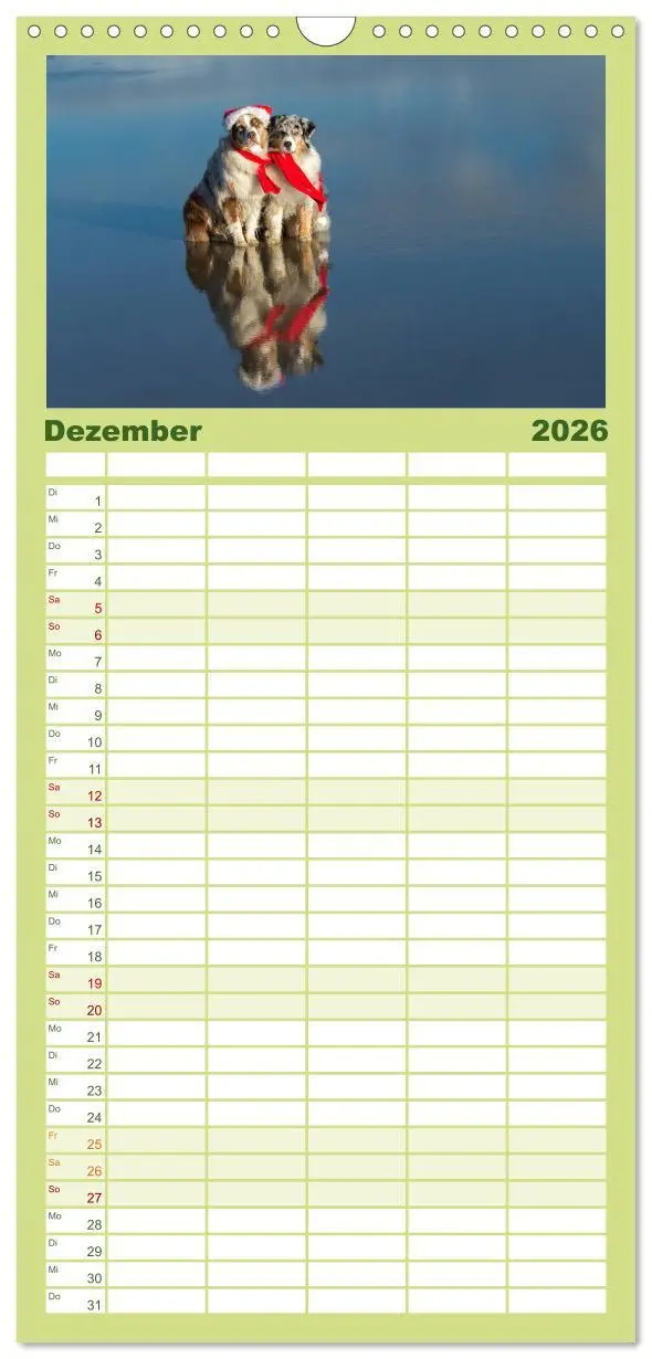 Bild: 9783516512304 | Familienplaner 2026 - Australian Shepherd mit 5 Spalten...