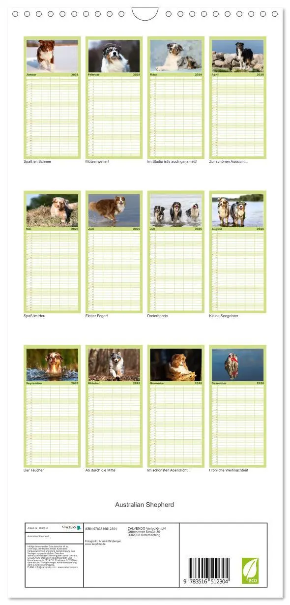 Bild: 9783516512304 | Familienplaner 2026 - Australian Shepherd mit 5 Spalten...