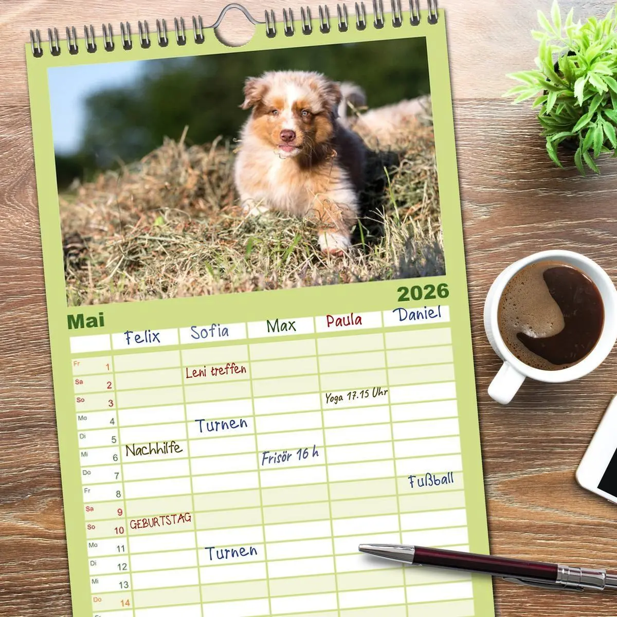 Bild: 9783516512304 | Familienplaner 2026 - Australian Shepherd mit 5 Spalten...
